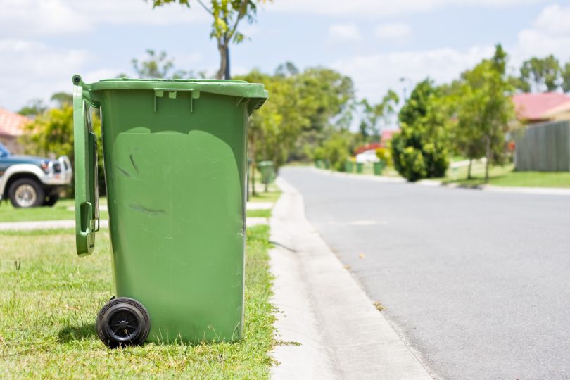 Curbside bin on suburban Canberra street