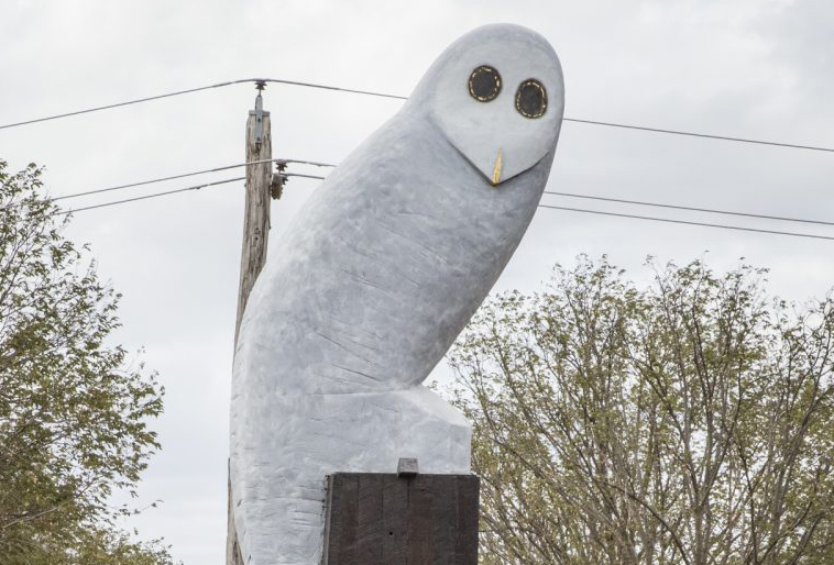 The Belconnen Owl statue