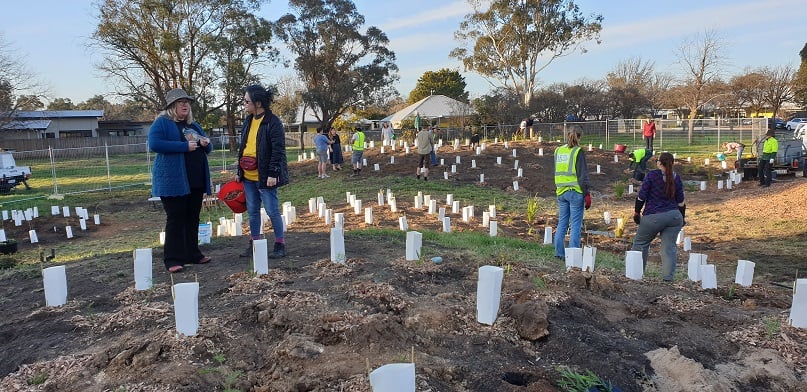 Community members standing among planted trees at Cole Street park micro-forest in Downer