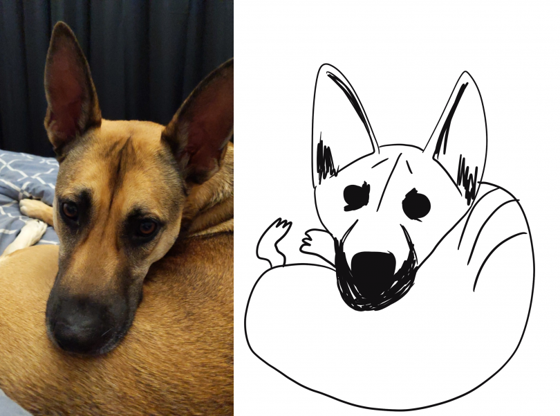 RSPCA Poorly Drawn Pets dog Vanessa Pryde
