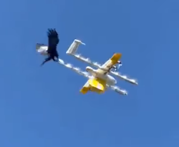 Drone being attacked by a bird