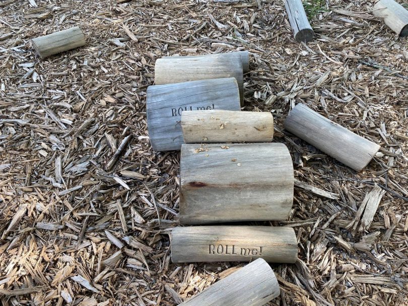 Playground logs