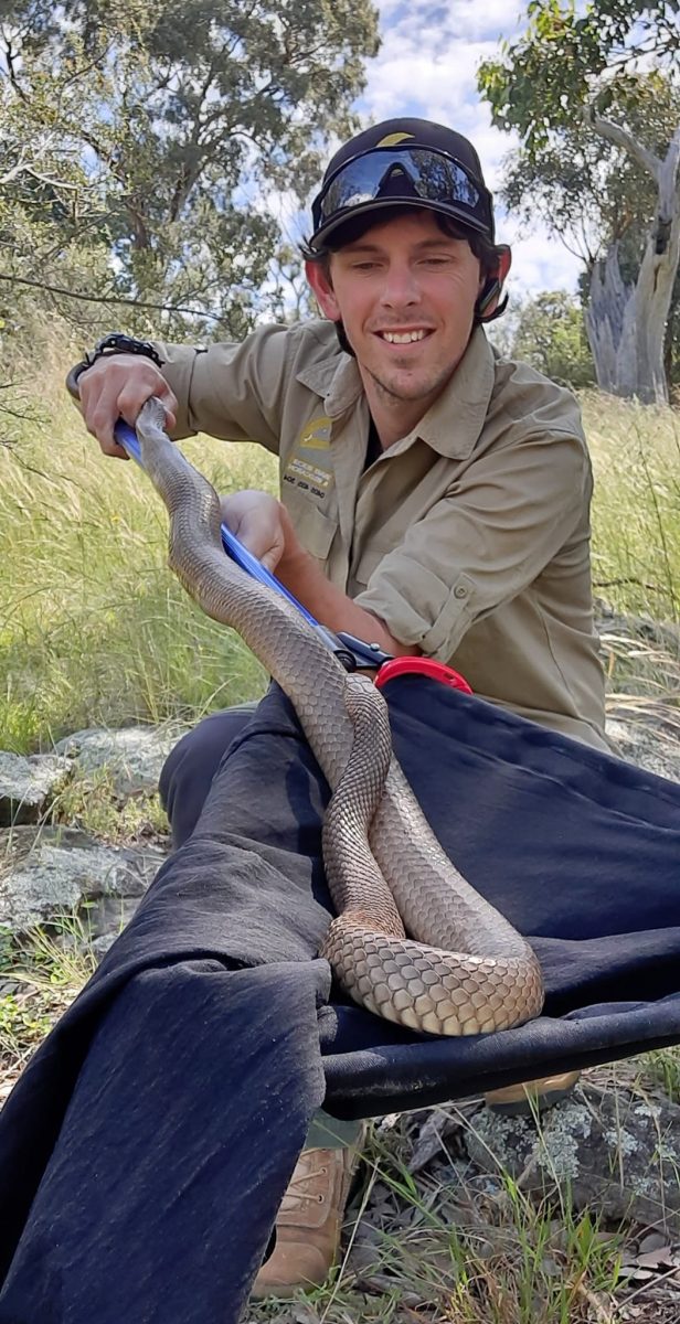 Luke Dunn and an Eastern Brown Snake