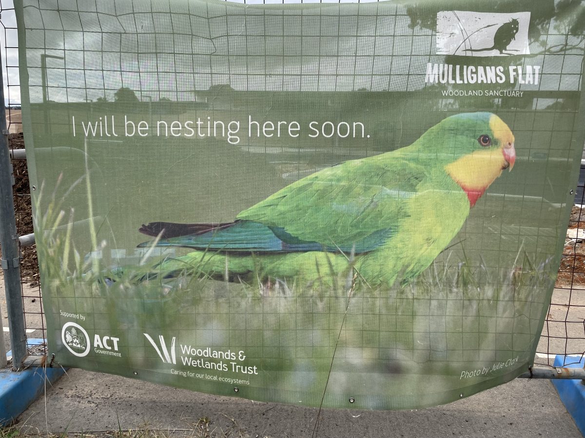 Bird on a sign for Mulligans Flat