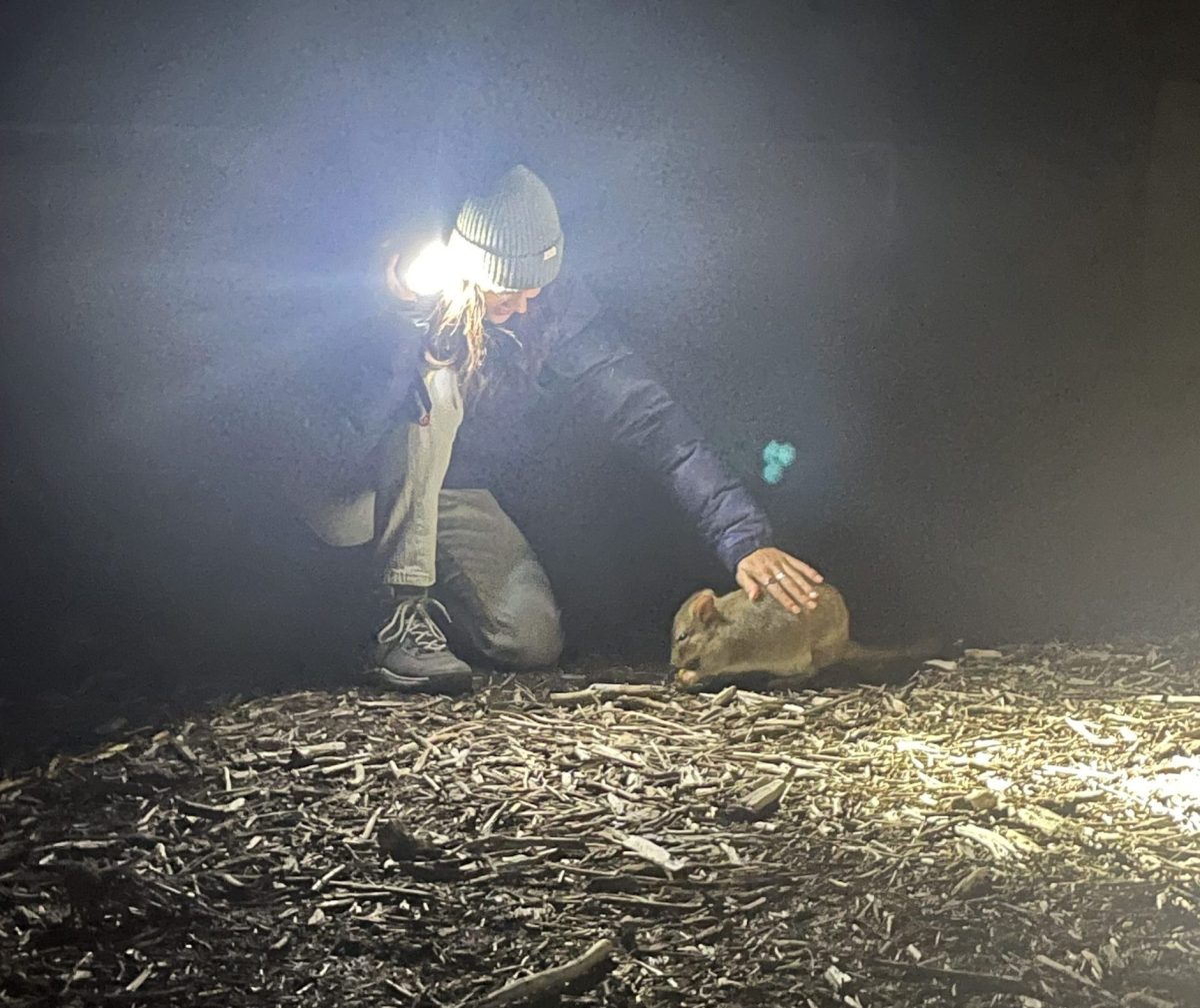 woman with bettong at night