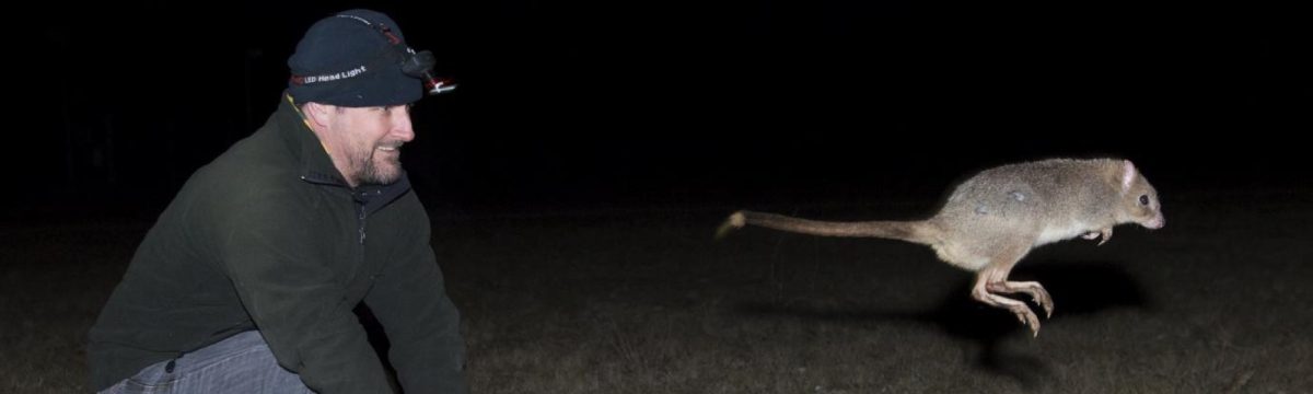 Man with flying bettong in the dark
