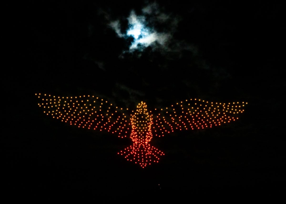 drones depicting a bird