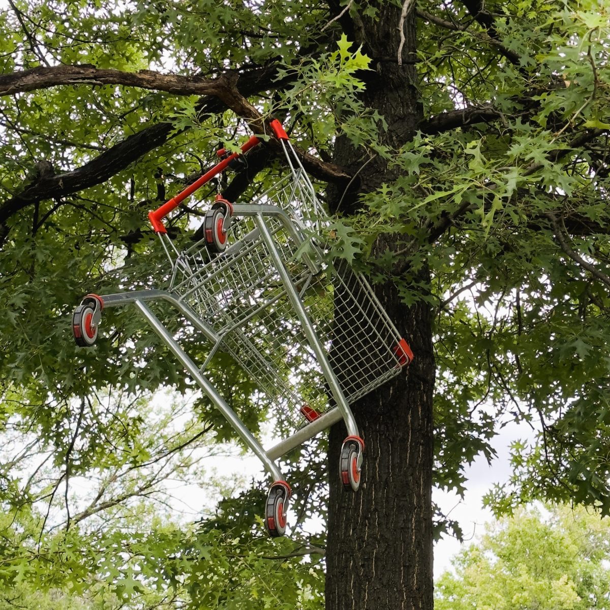 shopping trolley in a tree