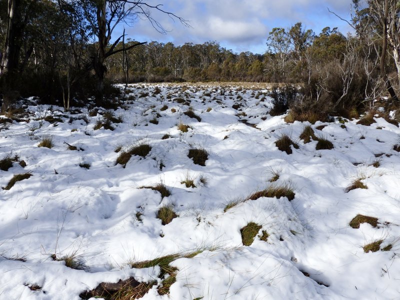 snow along the Square Rock Track in Namadgi National Park