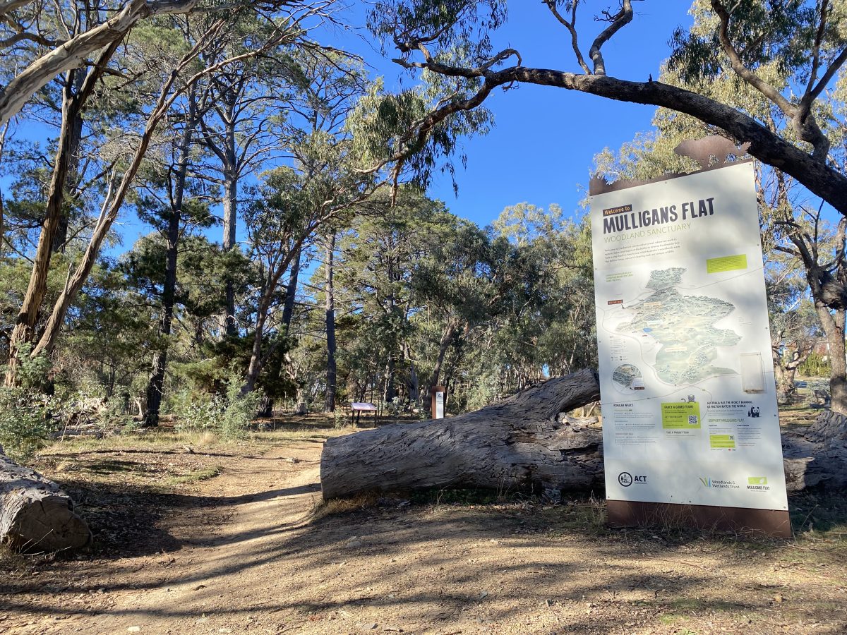 Mulligans Flat sign