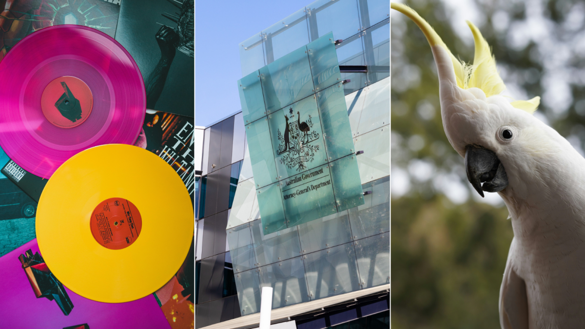 records, government department, cockatoo