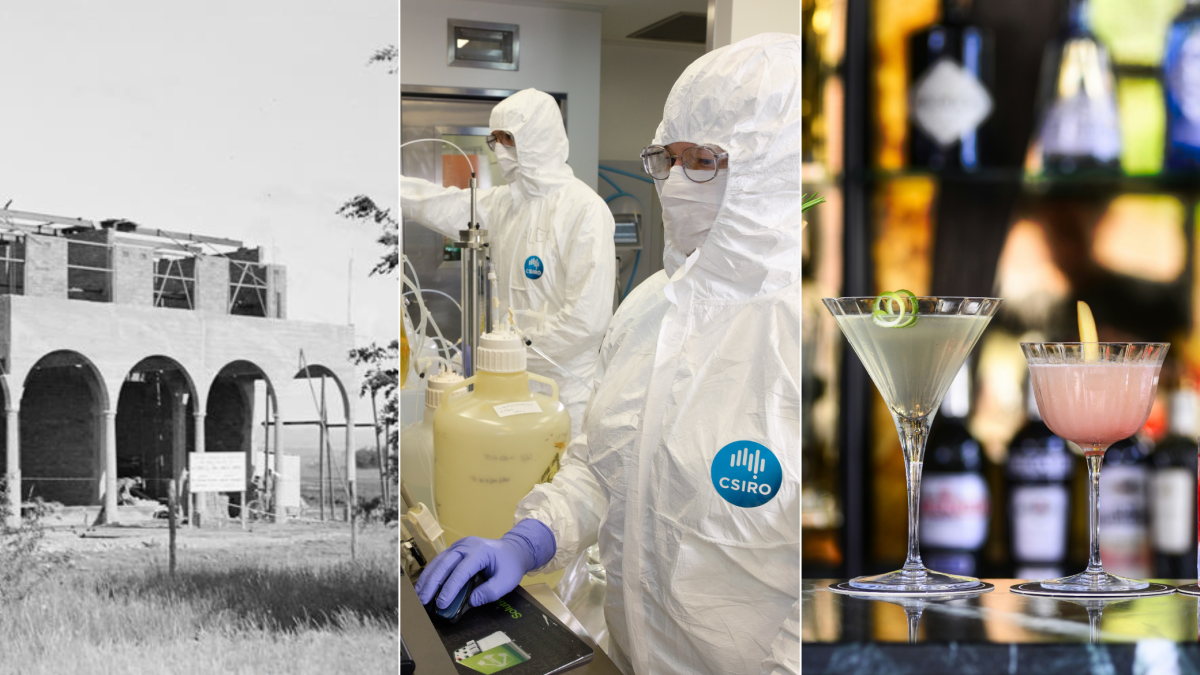 building, CSIRO staff, cocktails