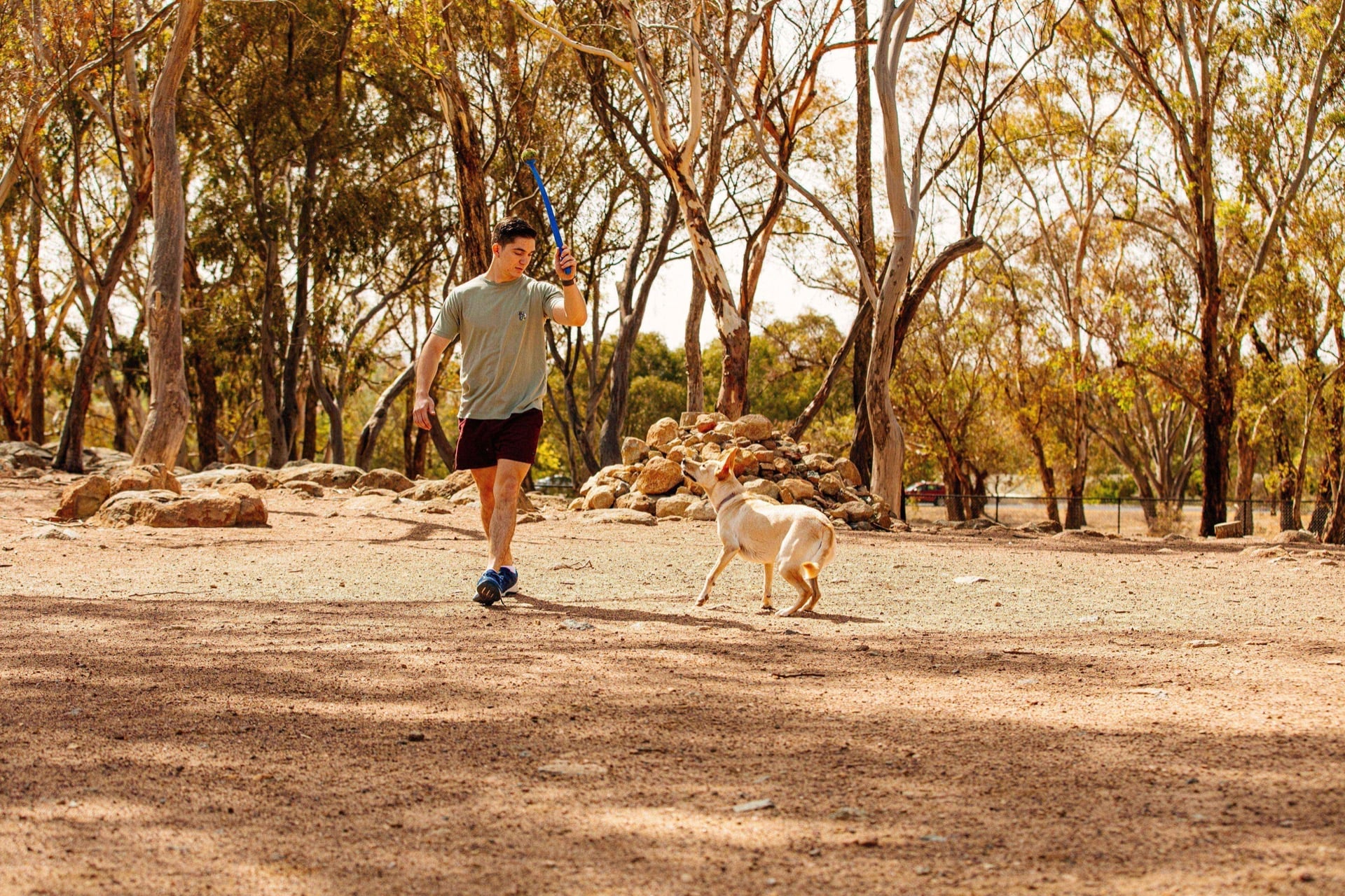 Here's where Canberra's next dog parks will be built