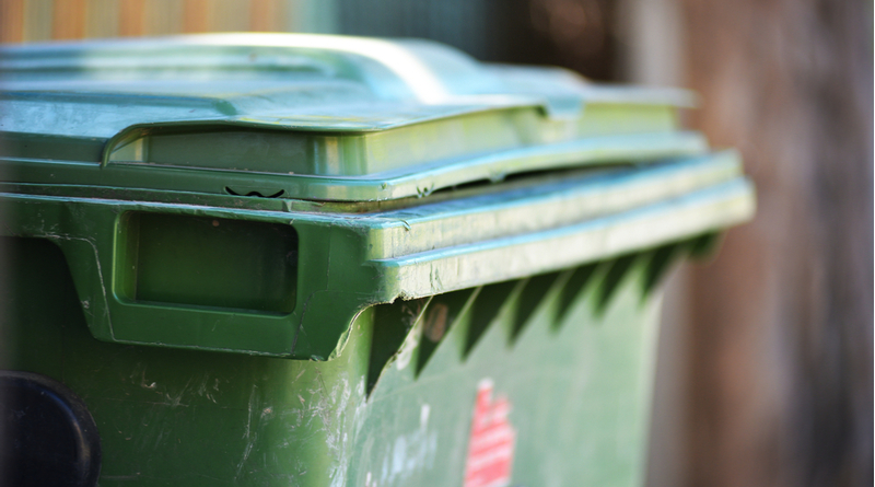 Waste and recycling bins now collected from 5am