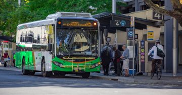 Bus timetable shake up as Canberra's kids head back to the classroom