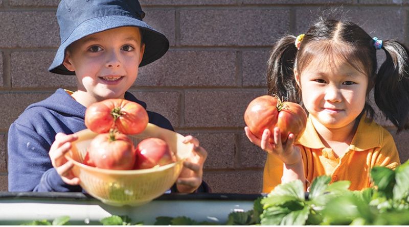 Ngunnawal Primary get serious about sustainability