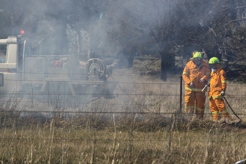 Bushfire Relief Support Initiatives