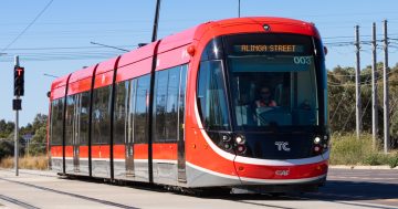 How ice immobilised light rail and why it may happen again
