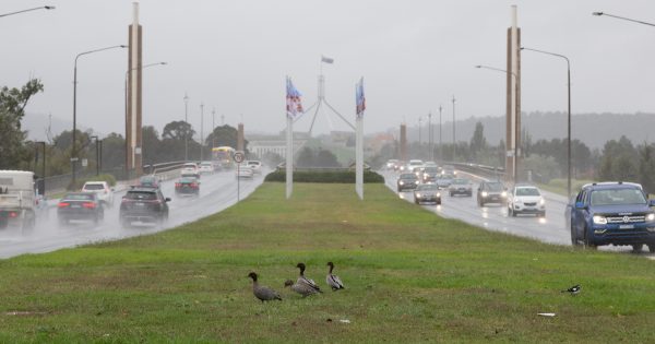 Canberra's October rain record washed away by recent downpour
