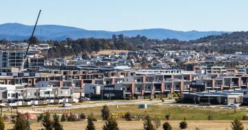 Would increasing land supply solve the ACT's housing woes?