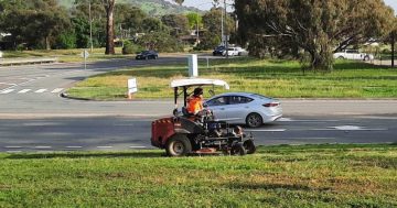 Wet winter brings big spring growth, ACT Government ramping up mowing program