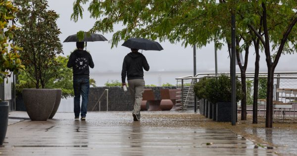BOM declares La Niña and Canberra could record its wettest month on record