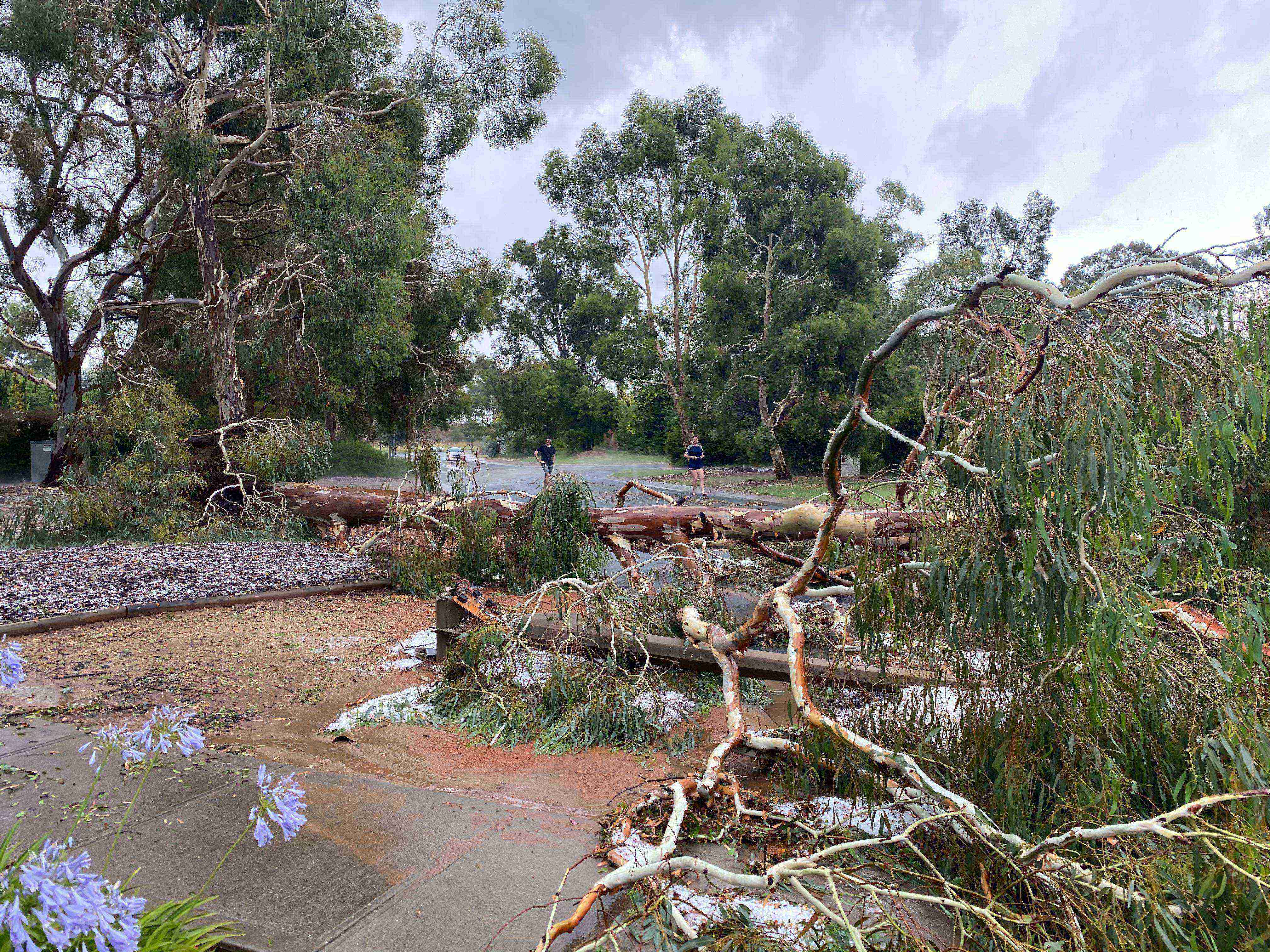 Thousands still without power as emergency storm response continues