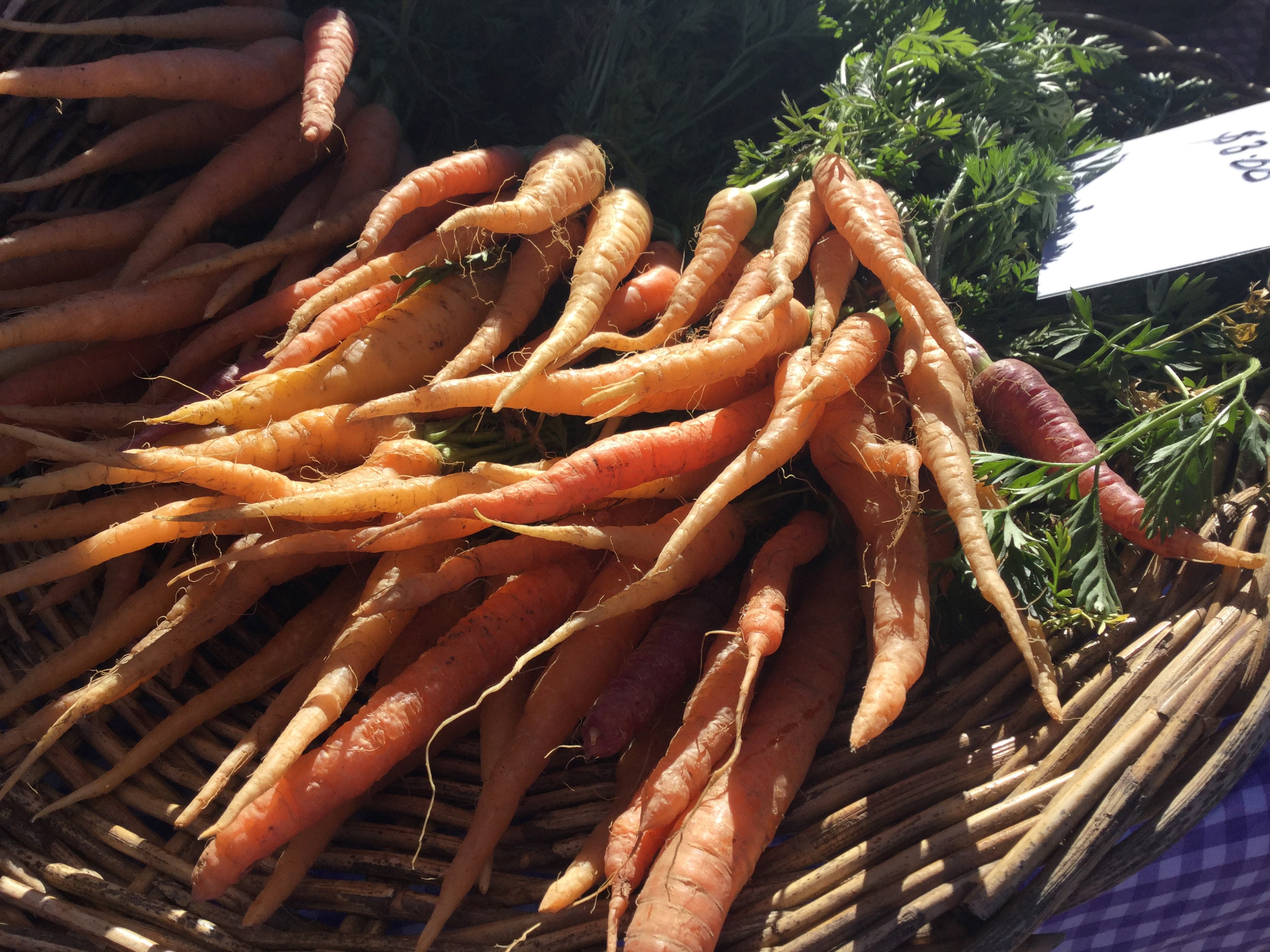 Notes from the Kitchen Garden: cultivating crunchy carrots and perfect parsnips