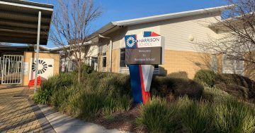 Petition launched over traffic safety fears at Harrison education precinct