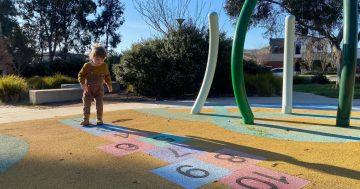 Mum on a mission to swing past - and rate - the Territory's 500 playgrounds