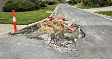 Here's where to find Canberra's 5 worst potholes right now, according to you