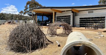 What did Canberra look like 250 years ago? New visitor centre reveals all (and adds lizard pats)