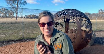 Passion for animals - and changing the world - leads Lauren Brown to top job