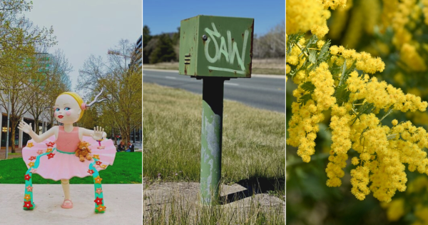 QUIZ: What's inside the little roadside boxes? Plus 9 other questions this week