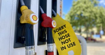 Fuel price relief arrives ahead of Christmas holidays (finally)