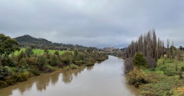 How much bacteria does it take to close a Canberra waterway?