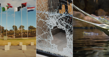 QUIZ: Which area of Canberra has the most vandalism? Plus 9 other questions this week