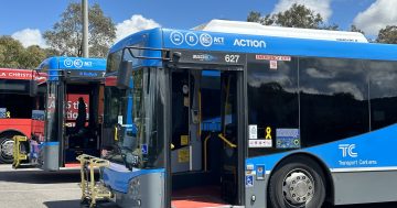 ACT Government pressured to offer free public transport if MyWay+ system isn't ready by September