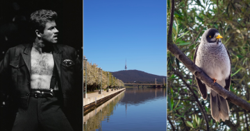 QUIZ: How deep is Lake Burley Griffin? Plus 9 other questions this week