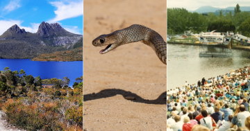 QUIZ: Are most snake species in the ACT dangerous? Plus 9 other questions this week
