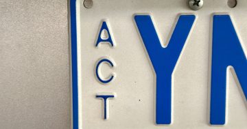 NSW cars have 'stolen' our Y numberplates, and it might be causing issues