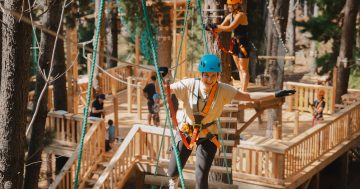 New adventure park opens in Majura Pines, and it's a treet