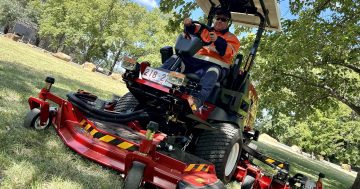 Canberra's lawn mowers appreciate a lot more waves and thank yous this season, but it's not always rosy