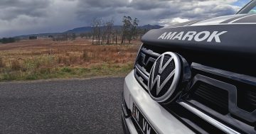 VW testing world-first kangaroo deterrent, but ANU expert has doubts it'll work in Canberra