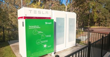 Community batteries to store solar energy coming to Canberra’s suburbs