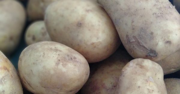 International Potato Day: An ode to the humble spud