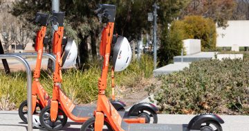 Helmet wearing 'just not the norm' for majority of Canberra's young e-scooter riders, study finds