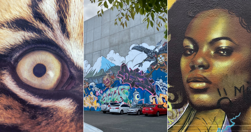 QUIZ: How well do you know Canberra’s murals? Plus 9 other questions this week