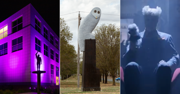 QUIZ: What owl is the Belco Owl even based on? Plus 9 other questions