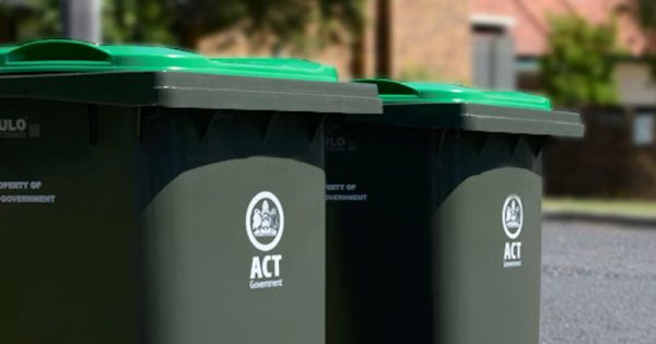 Need an extra green bin? They're now available, but it'll cost you